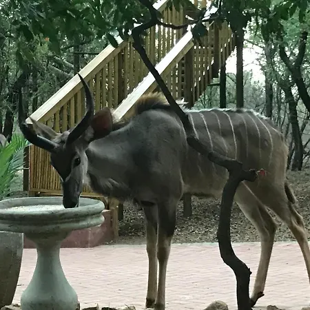 Hyenas Call Marloth Park Exterior photo