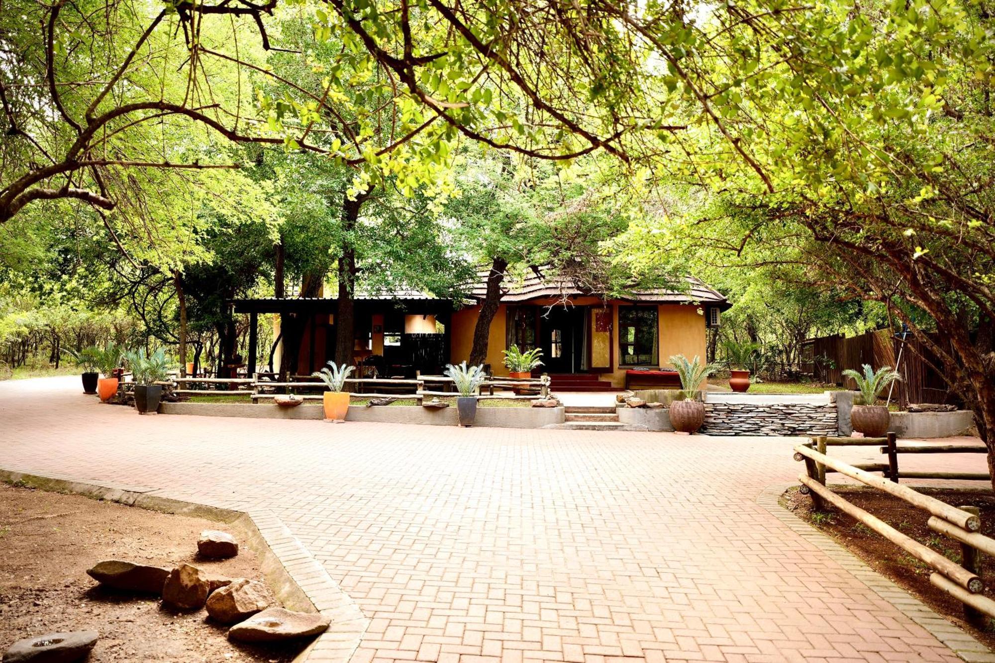 Hyenas Call * Marloth Park